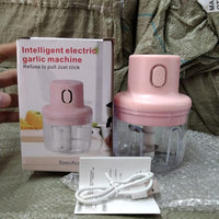 KolorFish Electric Mini Garlic Chopper 250ml Electric Vegetable Chopper - Essentials