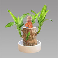 Brazilian Lucky Wood, Mini Home Plant Decorations - Essentials