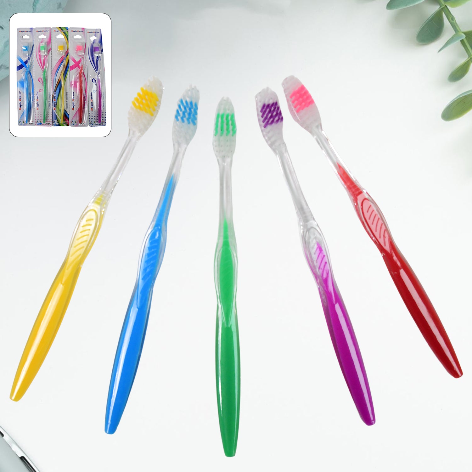 Premium Plastic Toothbrush (1 Pc  Mix Color) - Essentials